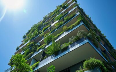 From Green Homes Grant to New Initiatives: What Changed?